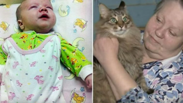 Kocica Masha i 12 tygodniowe niemowlę, które uratowała