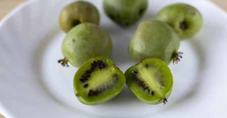 Antyrakowy owoc rośnie w Polsce. Chroni przed cukrzycą i miażdżycą