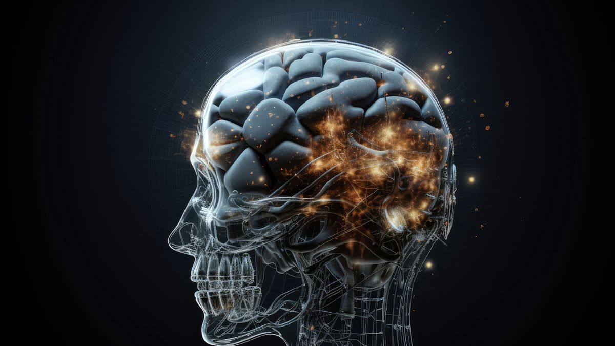 Centralny układ nerwowy to główny ośrodek zarządzania i kontroli całym organizmem.