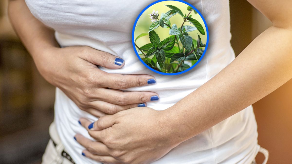 Ziołowe napary na wzdęcia. Dzięki nim pozbędziesz się gazów