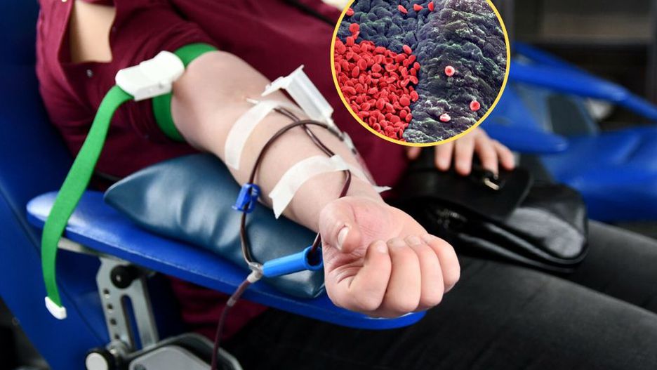 "Uniwersalny dawca". Taką krew ma tylko 6 proc. populacji