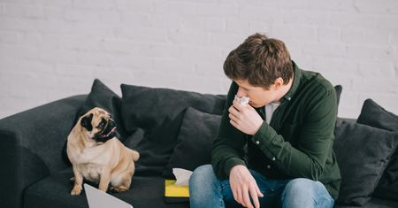 Alergia na psa – objawy