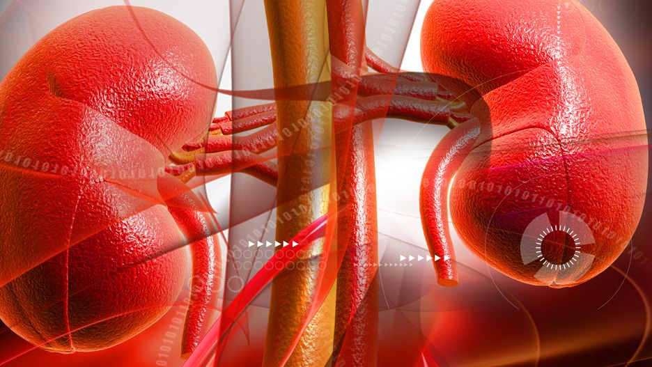 zespół dziadka do orzechów