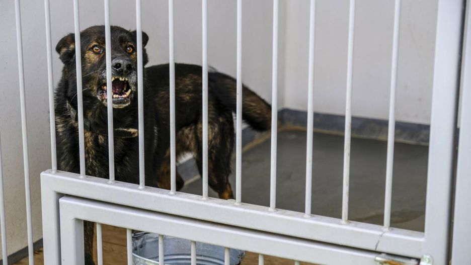 Zdjęcie ilustracyjne