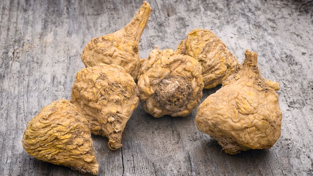 Regularne spożywanie korzenia macy przynosi szereg korzyści