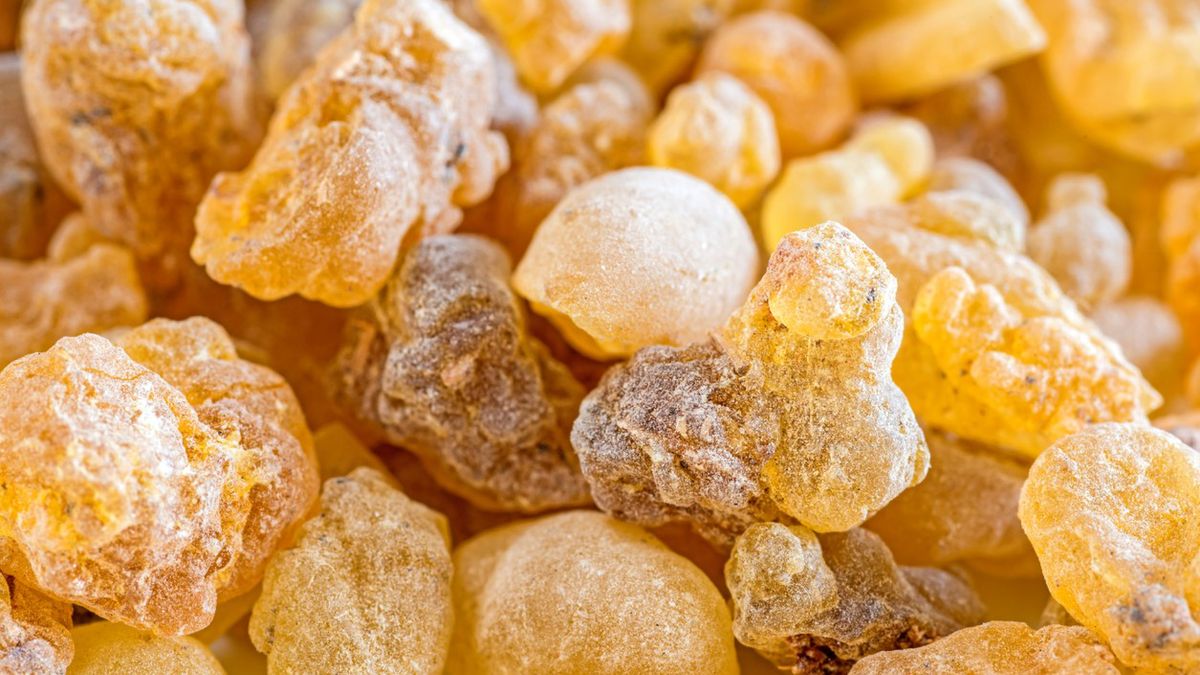 Właściwości kadzidłowca indyjskiego warto wykorzystać w leczeniu oraz profilaktyce chorób stawów, kości i mięśni.