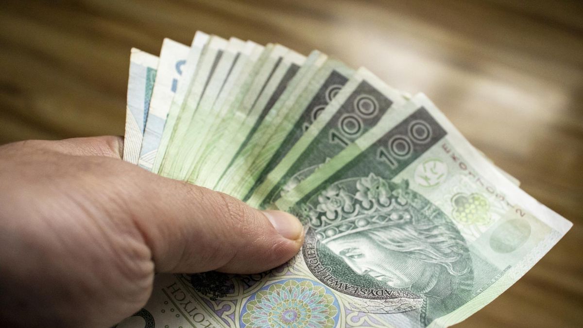 400 zamiast 800 plus? W tych sytuacjach ZUS wypłaca mniej