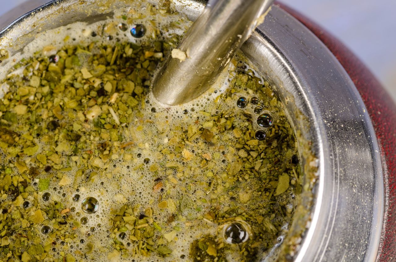 Jak zacząć pić yerba mate? Poradnik dla początkujących