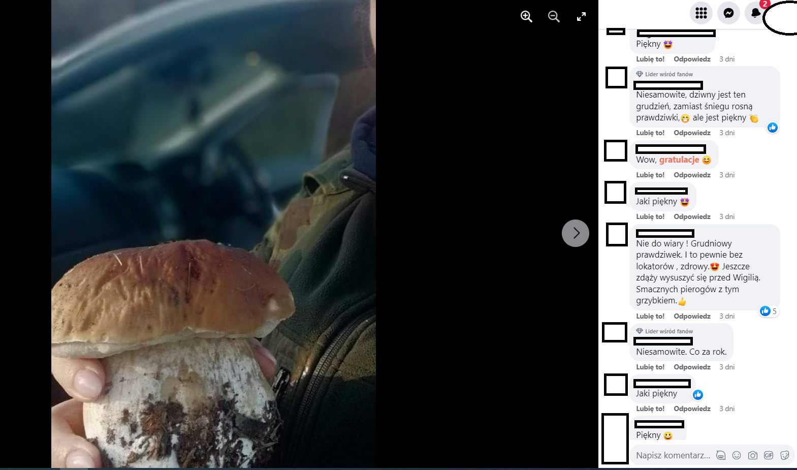 Internauci nie kryją zachwytu nad grudniowym borowikiem