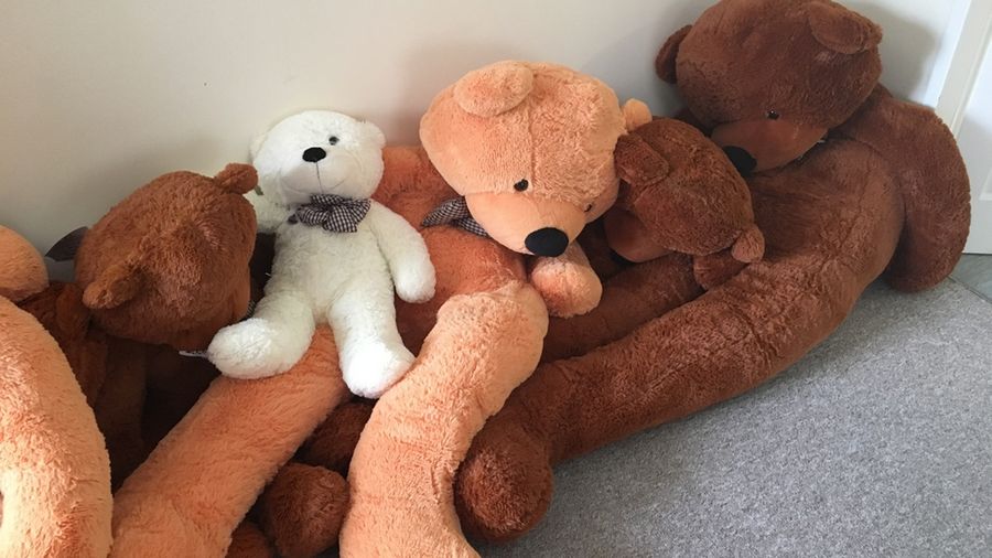 Wiele maskotek czeka na badania w laboratorium