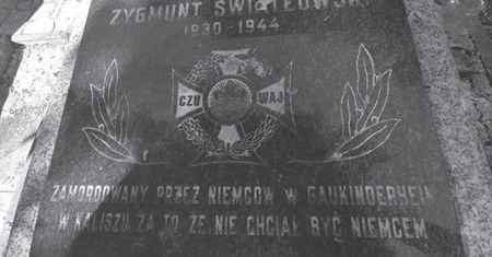 "Zygmuś krzyknął, a jego ciałko natychmiast sczerniało". Historia Zygmunta Światłowskiego