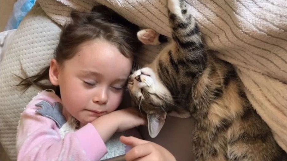 Alice Hudson ugryzł kot