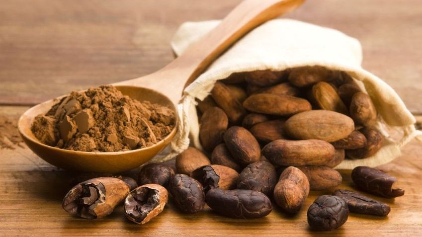 Prażone ziarna kakowca sa bogatym źródłem magnezu. 