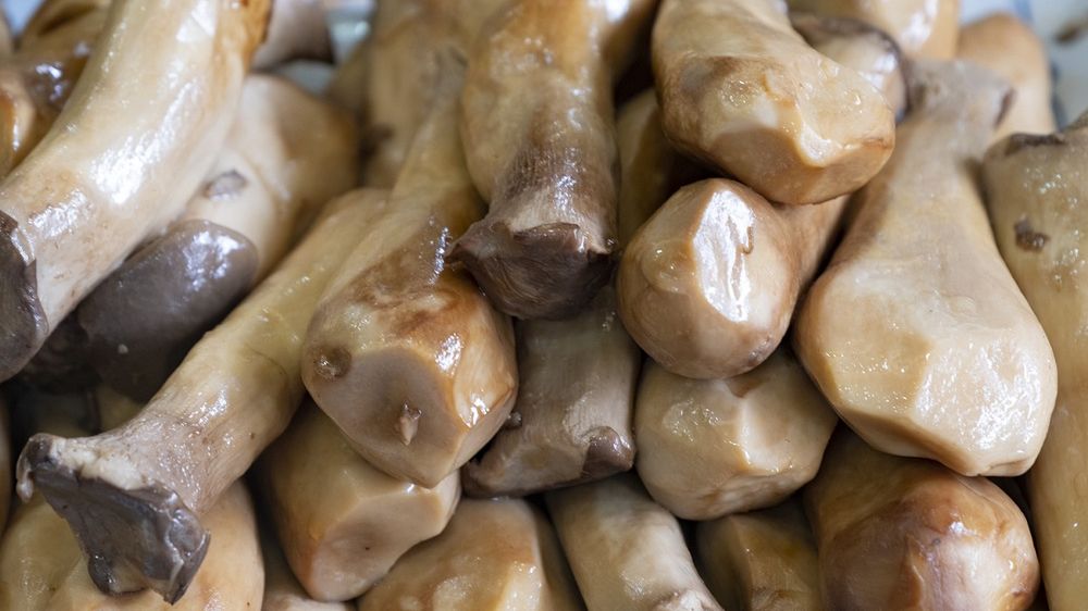 Do niedawna uchodziły za najzdrowsze jedzenie. Kiszonki i pikle mogą jednak przyczyniać się do raka