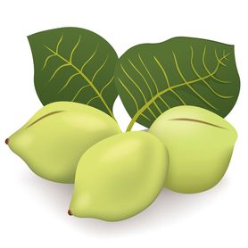 Rzadka, ale bardzo zdrowa odmiana śliwki. Sprawdź, dlaczego warto ją jeść