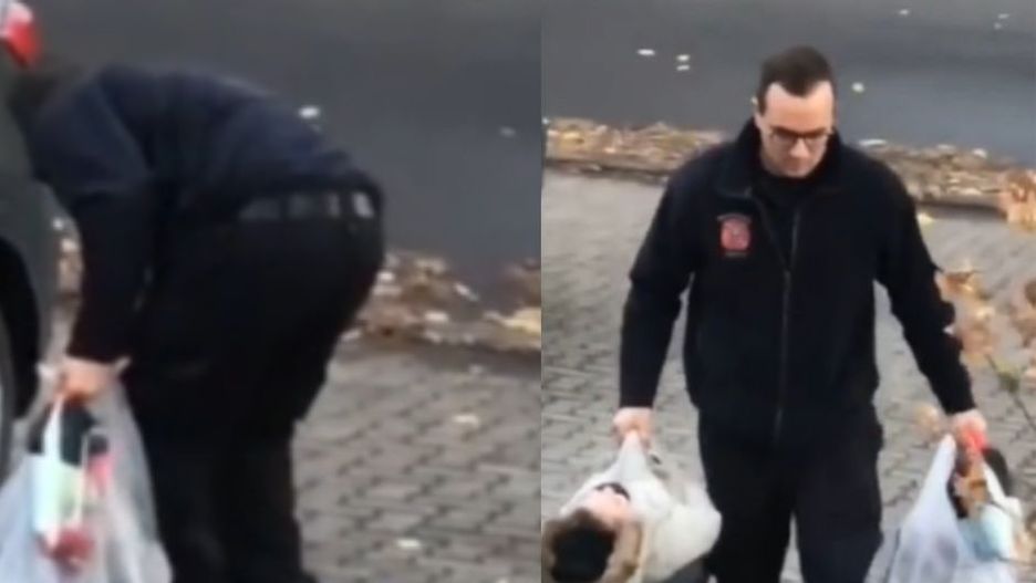 Żona aż chwyciła za telefon. Tak wracał z zakupów