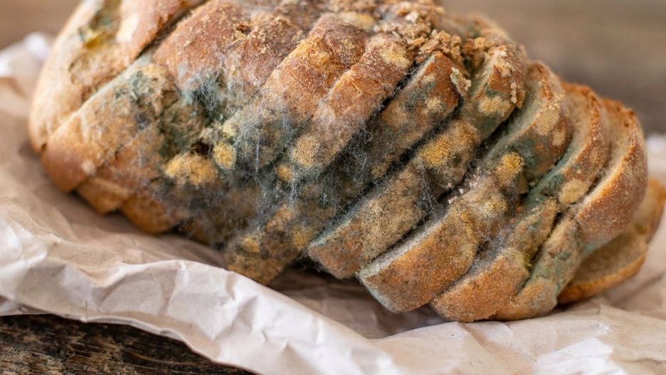 Chleb przechowywany w tym miejscu spleśnieje od razu. Jak temu zapobiec?