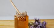 Miód faceliowy – właściwości lecznicze i zdrowotne