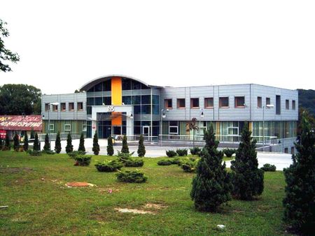 Obraz
