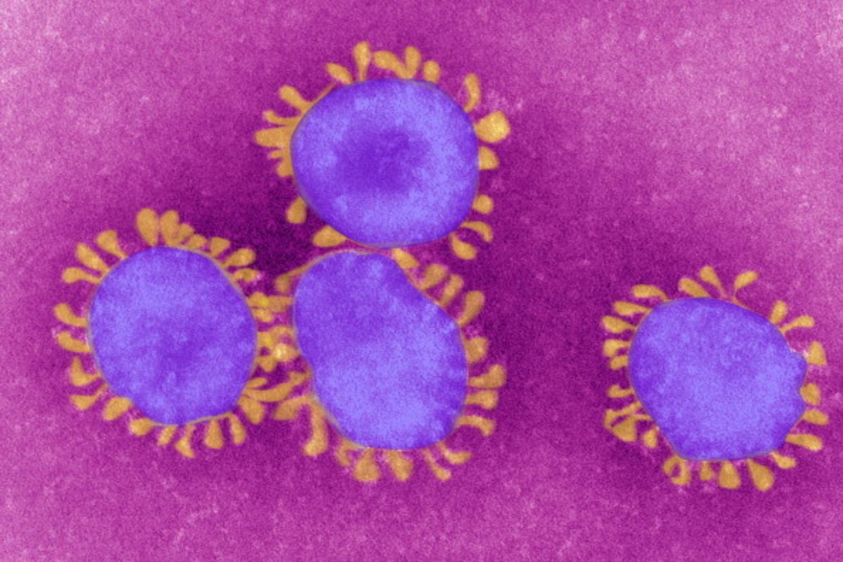 Koronawirus a grypa. Jak rozpoznać chorobę