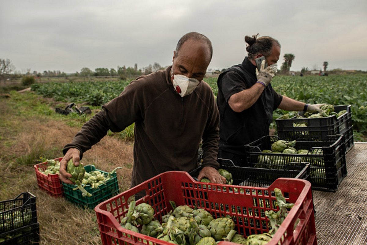 Koronawirus w Europie. Rolnicy ostrzegają przed niedoborami żywności