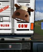 Spot Telewizyjny: "Cow"