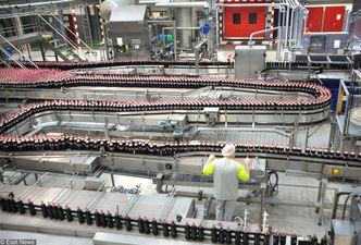 Coca-Cola inwestuje w Polsce pół miliarda złotych