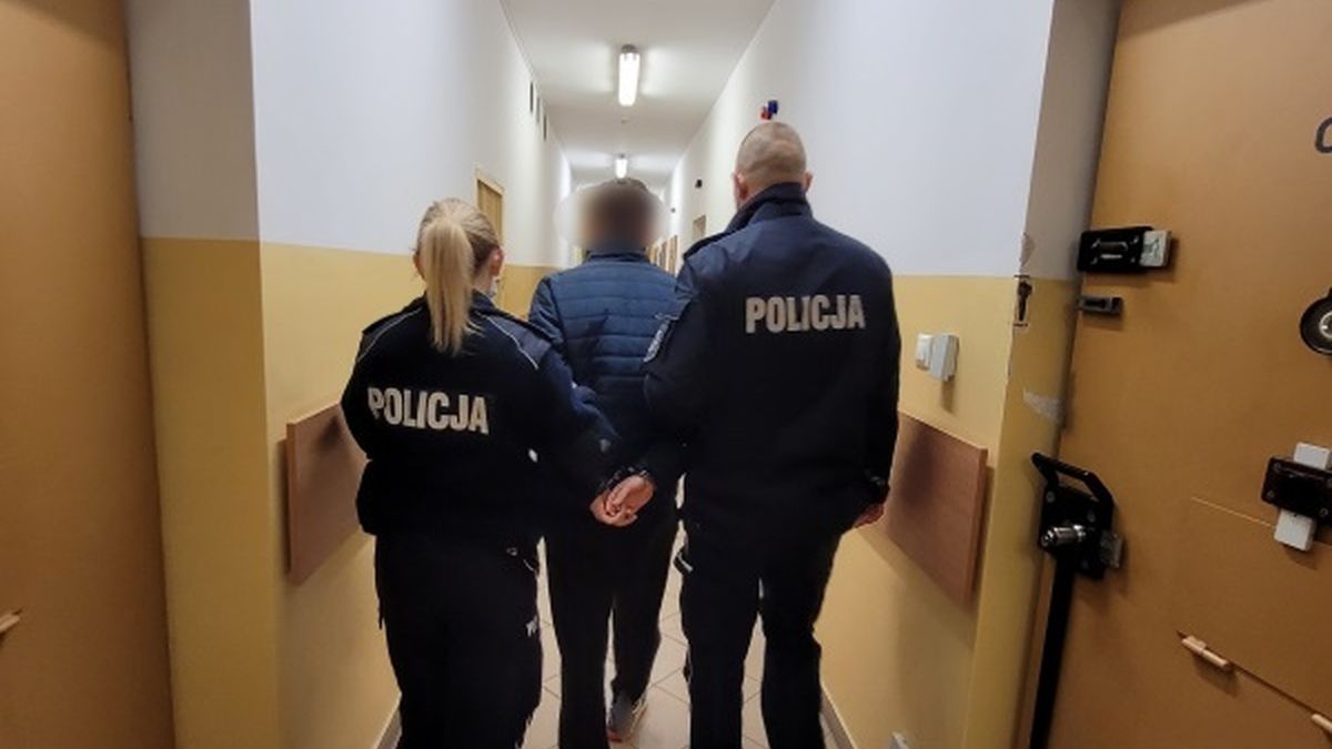 zdjęcie