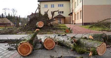 Wichury przeszły nad całym regionem