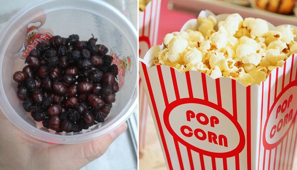 Nie tylko popcorn. Zobacz, co jedzą w kinach za granicą