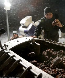 "Jest niszowy i jest go mało". Trunek z Polski zachwyca świat