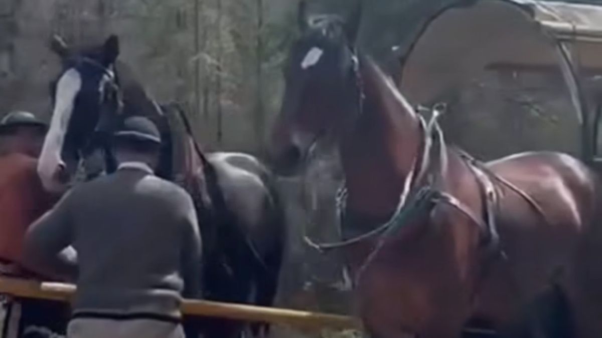 Filmik z trasy do Morskiego Oka wywołał oburzenie. Przedstawiciele TPN skomentowali sprawę