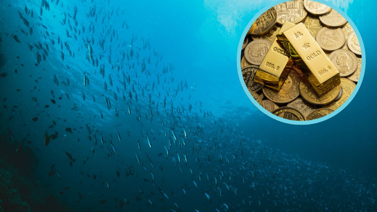 Odnaleziono wrak statku ze skarbem.