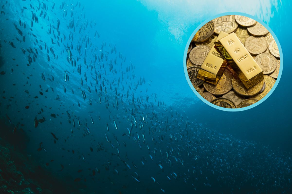 The wreck of a ship with treasure was found.