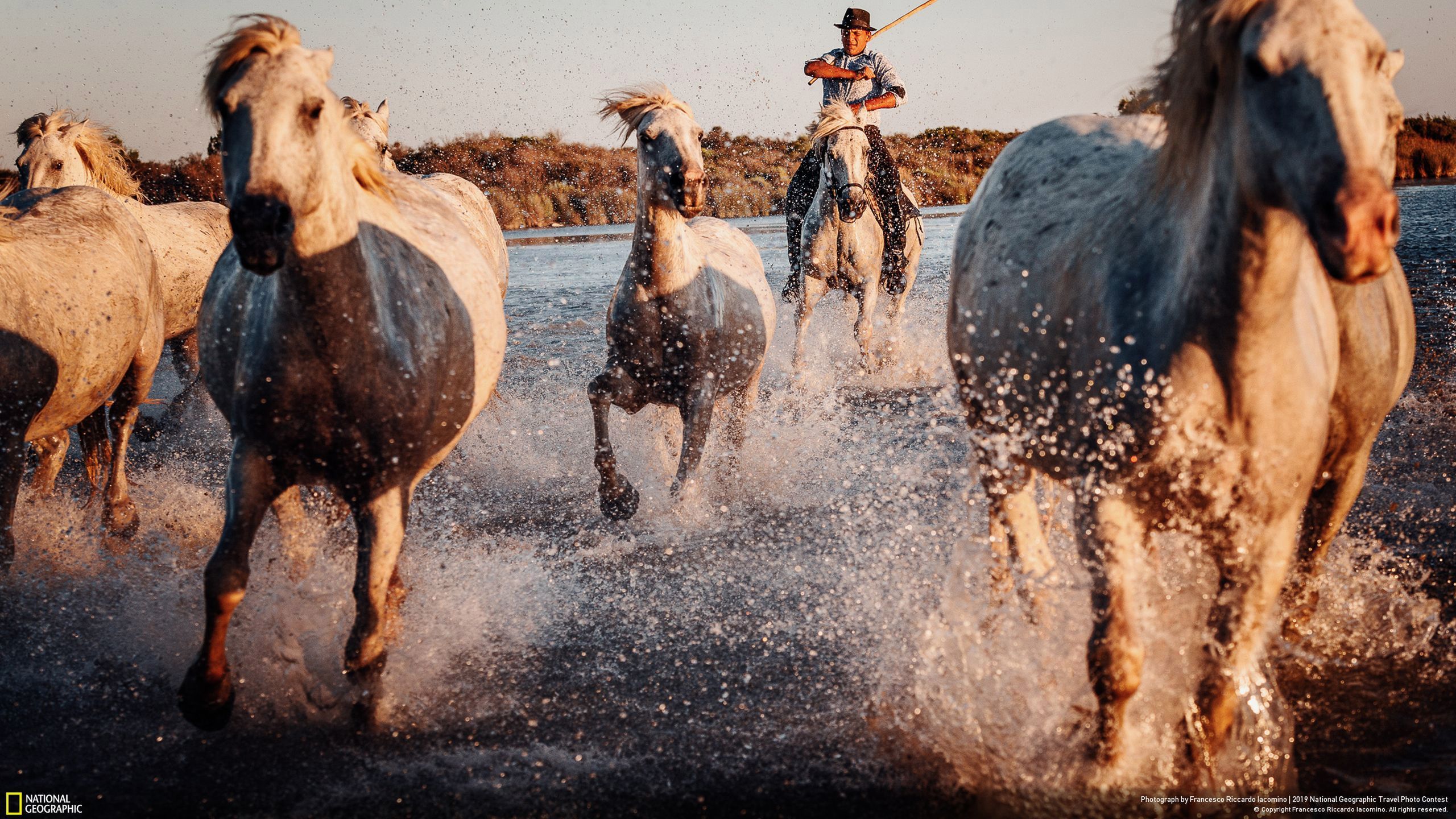 Niesamowite zdjęcia finalistów National Geographic Travel Contest 2019 47