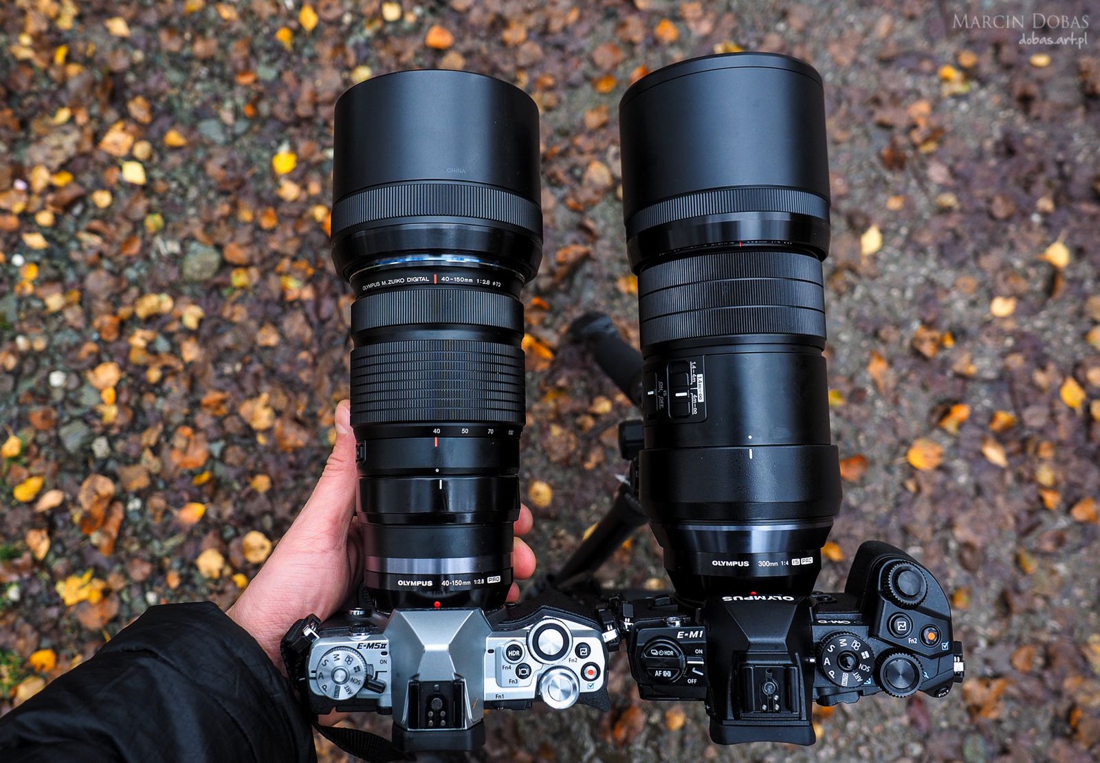 M.Zuiko Digital ED 300 mm 1:4 PRO - moje pierwsze wrażenia z fotografowania w terenie 3