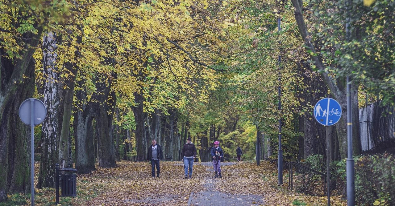 Bytom: Park z XIX wieku zachwyca jesienią