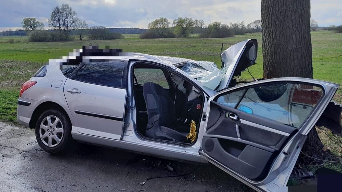 Peugeot wjechał w drzewo w Stężycy