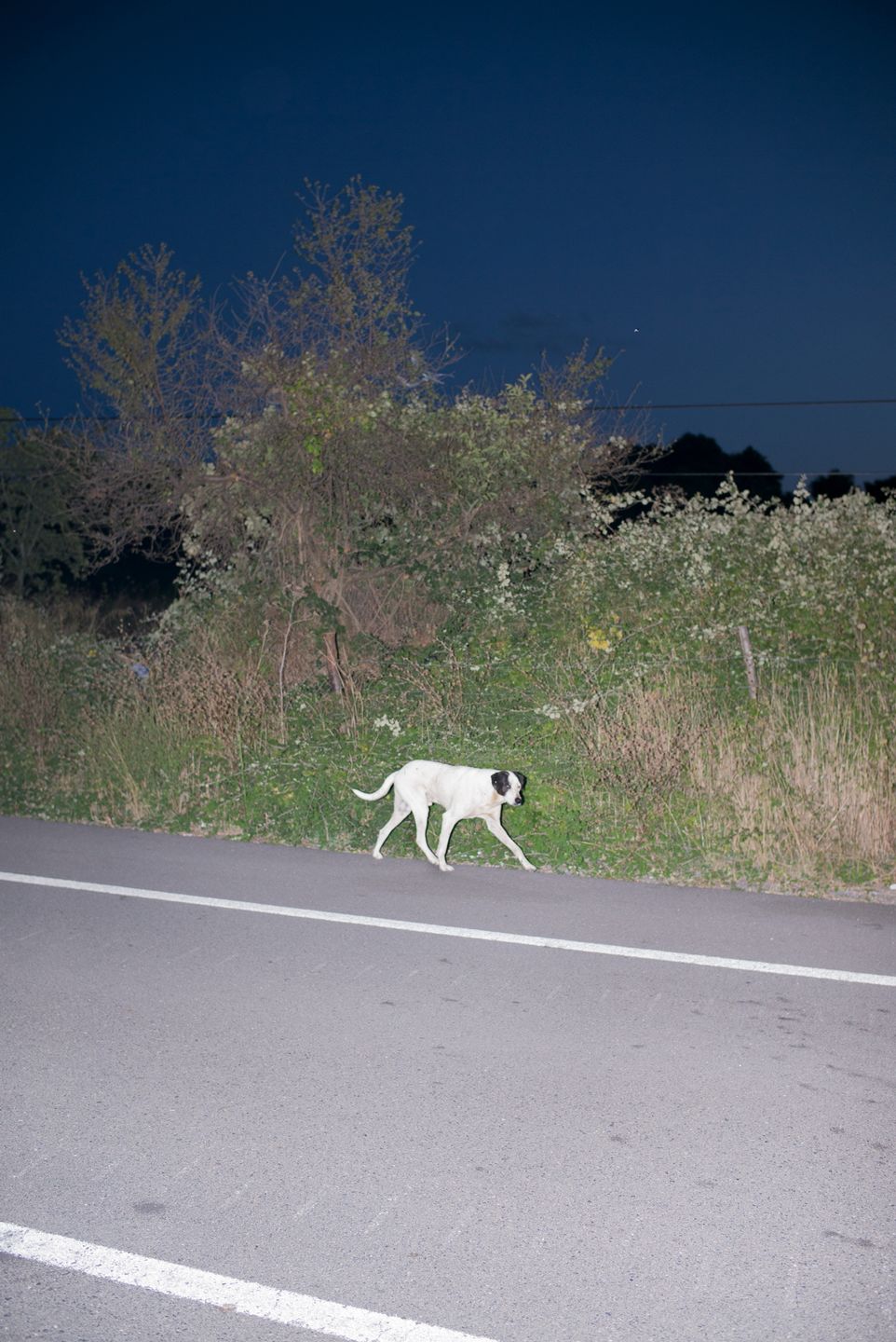 Kontrowersyjny materiał o samobójstwach wygrał Sony World Photography Awards 2019 94