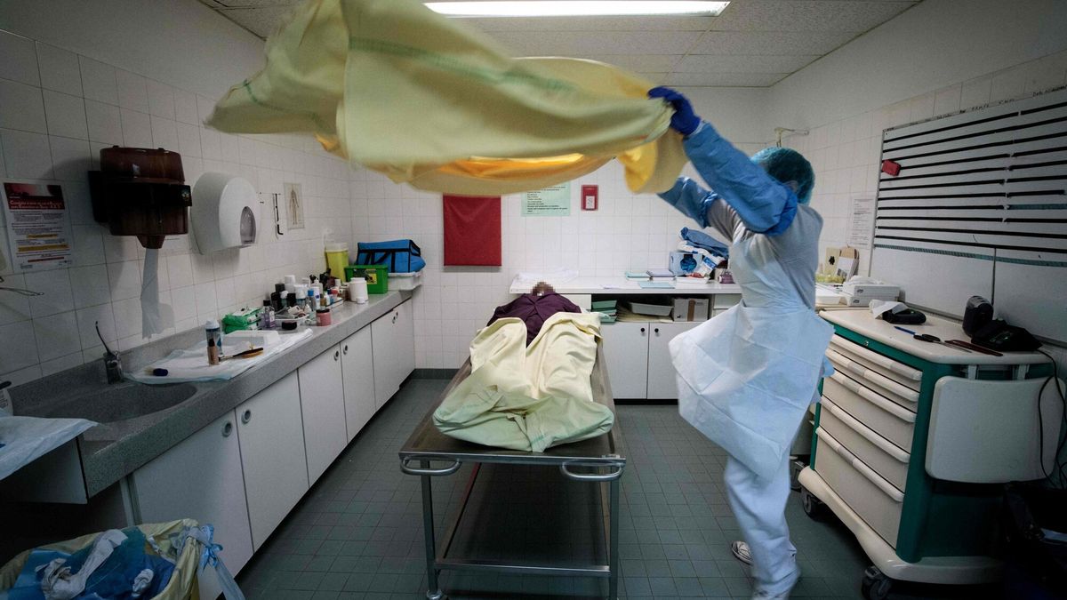 Praca w paryskiej kostnicy 