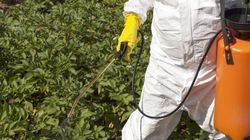 Rodzaje toksyn rakotwórczych