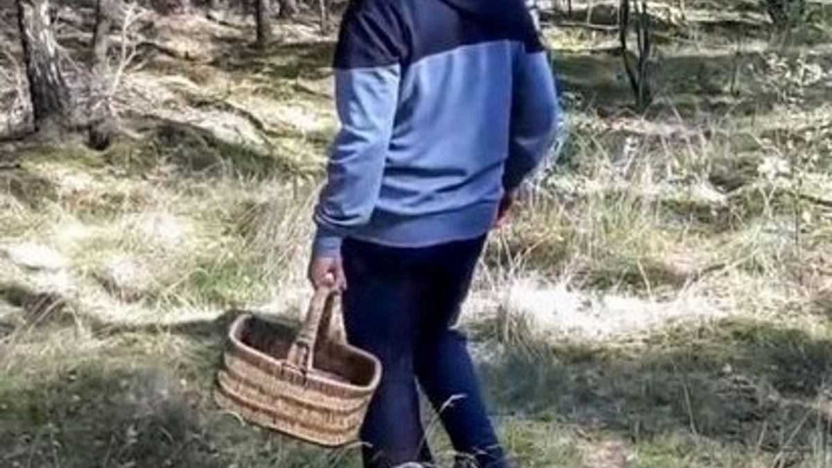 Zdjęcie ilustracyjne