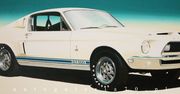 Shelby GT 500 na płótnie