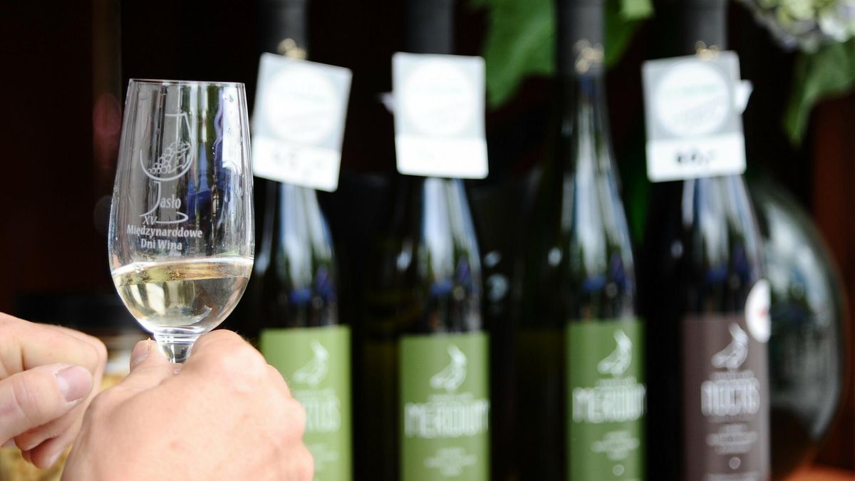 Białe wino może zmniejszać ryzyko osteoporozy, a czerwone poziom szkodliwego tłuszczu. Zaskakujące wyniki badań