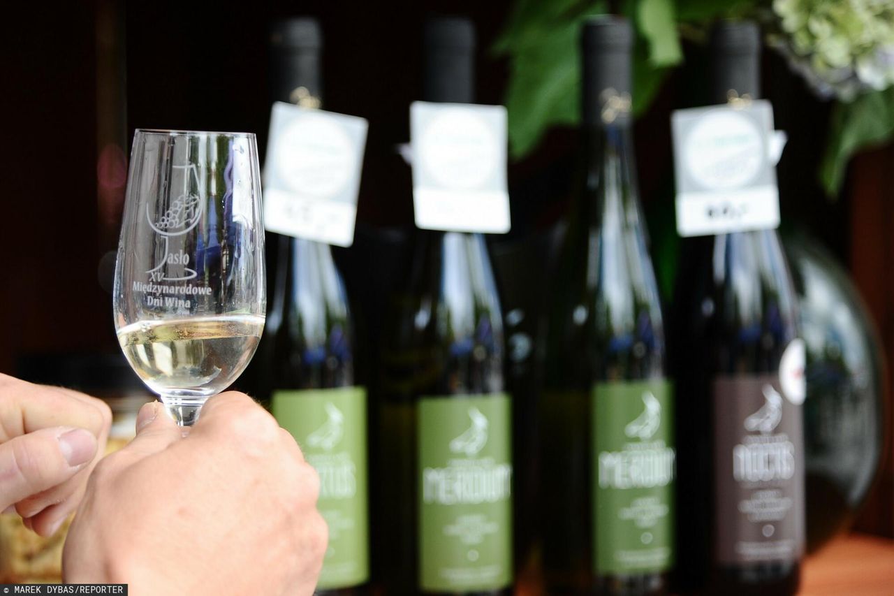 Białe wino może zmniejszać ryzyko osteoporozy i zakrzepicy, a czerwone poziom szkodliwego tłuszczu. Zaskakujące wyniki badań