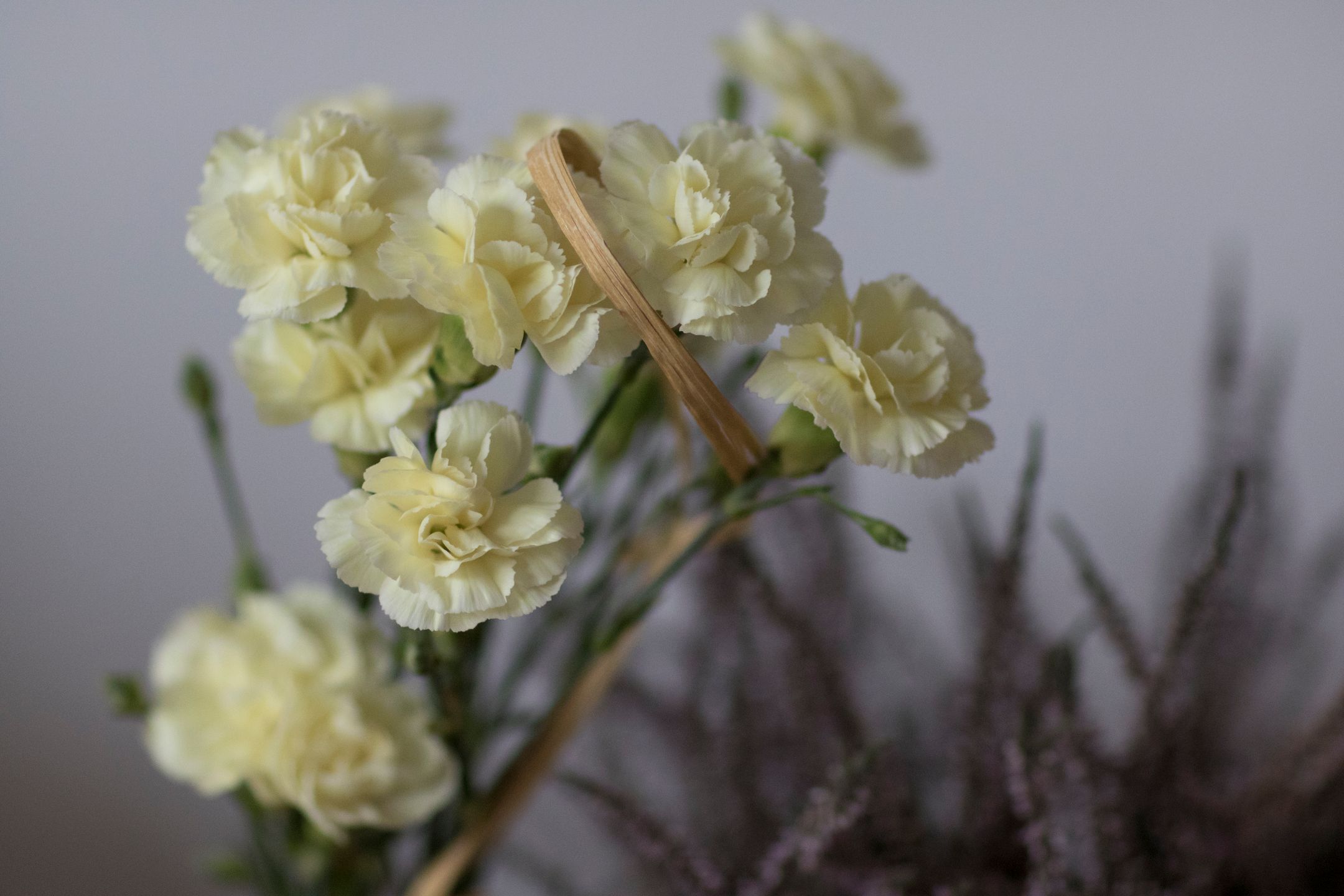 Canon EOS 7D Mark II - szybki, wytrzymały i bez konkurencji [test] 32