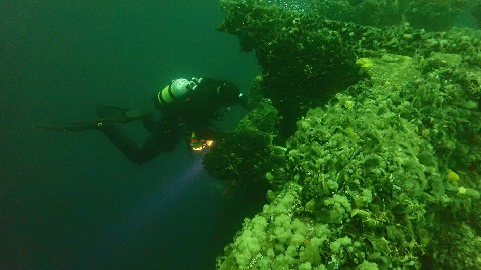 Wraki statków na dnie morza są ważne dla przyrody