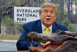 „Aligatorowe Alcatraz”. Nowy pomysł na migrantów na Florydzie