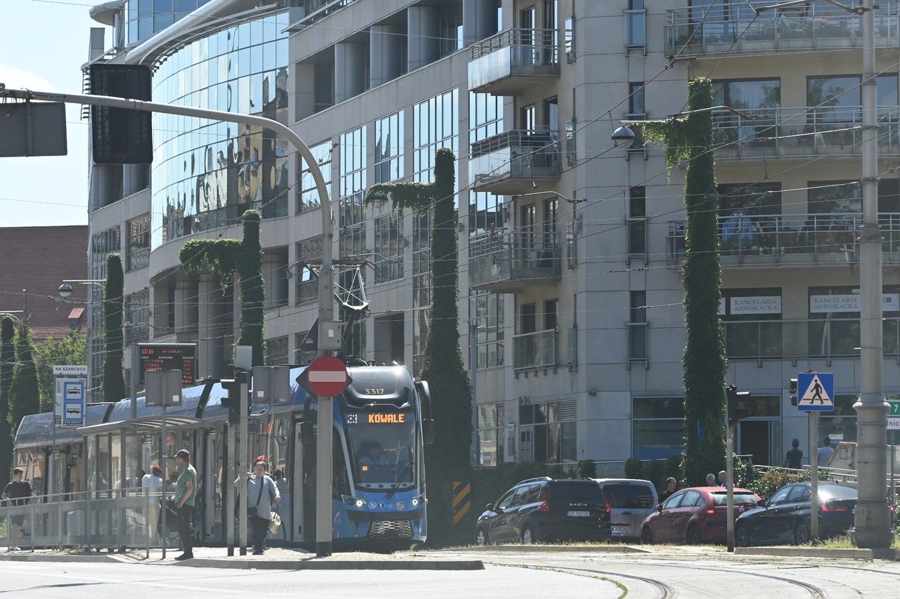 Wrocław: Upiorne latarnie. Straszą nie tylko w Ogrodzie Botanicznym