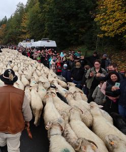 Prawdziwe oblężenie. Tłumy turystów w Szczawnicy